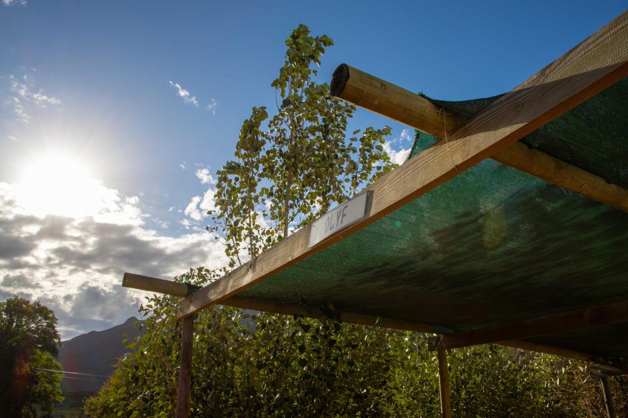 Rumali Farm & Cottage Montagu Exterior photo